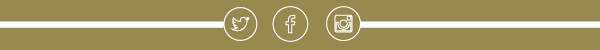 Social Media_Icons Bar_RW